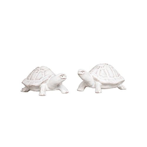 Clever Creatures Turtles -  Salt and Pepper Set